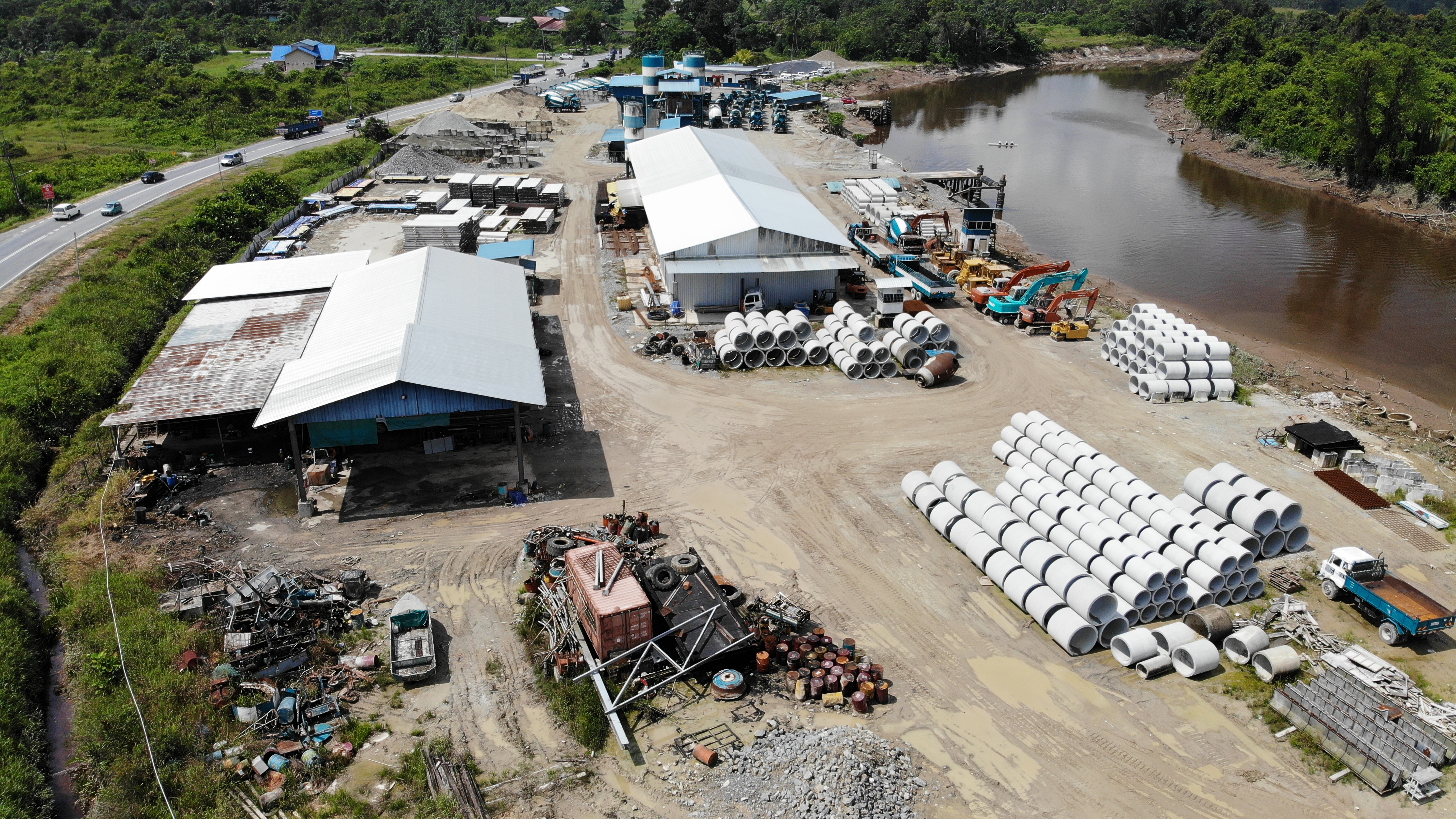 Bintangor Plant image 1