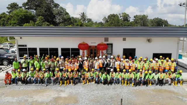 Bintangor Plant image 2